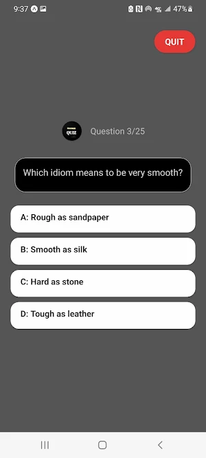 Idioms and Phrases Quiz Screenshot 3