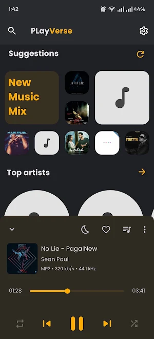 Offline MP3 Music Player Screenshot 3