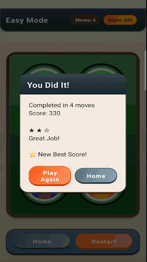 FlipTrek Memory pro Screenshot 2