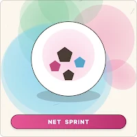 Net Sprint Soccer