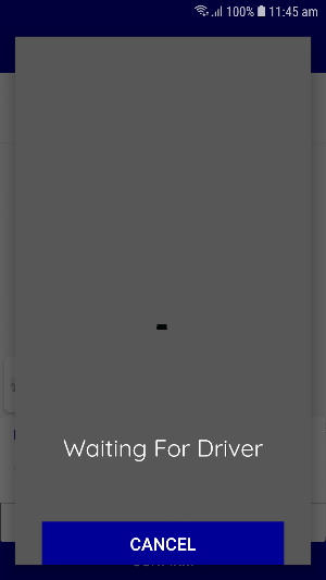 Limousina Cab Screenshot 3