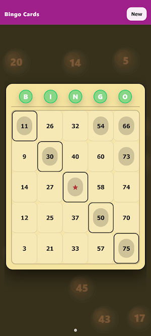 Bingo Cards Screenshot 3