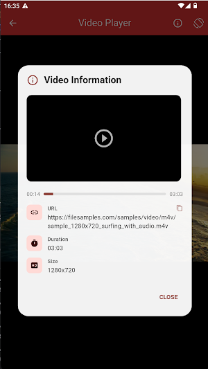 Url Video Player Screenshot 3