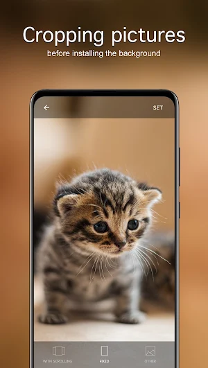 Cute Animal Wallpapers 4K Screenshot 2