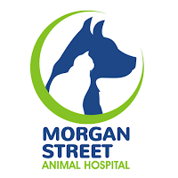 Morgan Street Animal Hospital