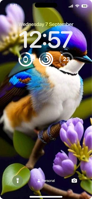 Bird Wallpaper HD Screenshot 3