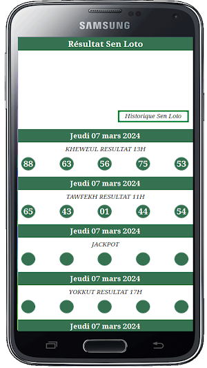 LOTO SUCCES Screenshot 1