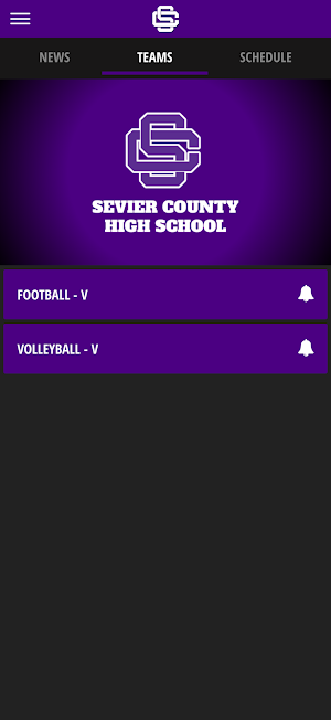 Sevier County Smoky Bears Screenshot 3