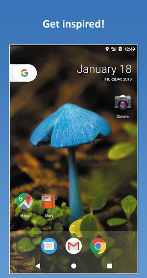 Daily Wallpaper. Lovely nature updated every day. screenshot 2