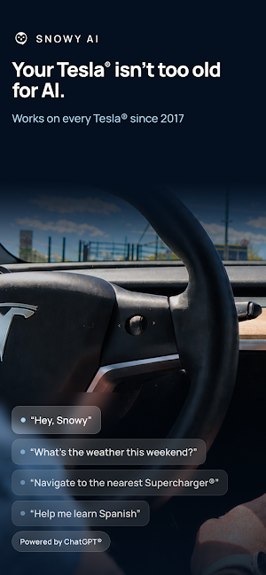 Snowy - AI Driving Assistant Screenshot 0