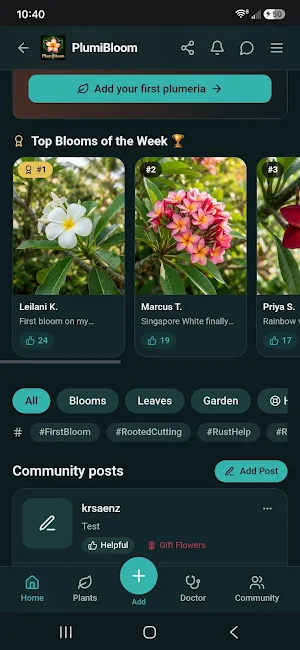 PlumiBloom Screenshot 3