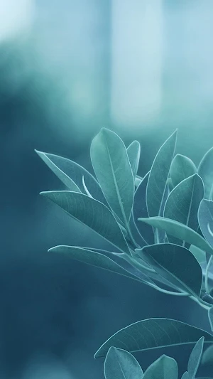 Wallpaper for Samsung S23Ultra Screenshot 0