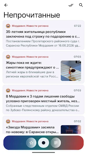 Сейчас в Мордовии Screenshot 1