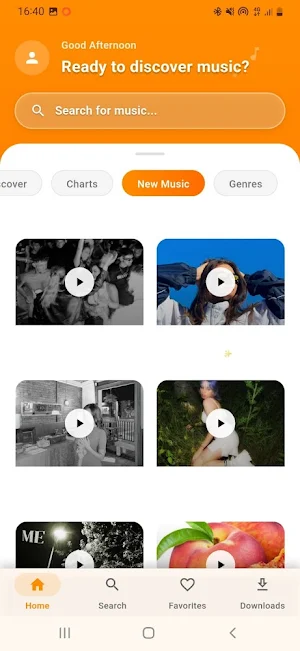 Vidmantè Screenshot 0