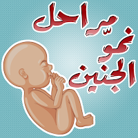 مراحل الحمل ونمو الجنين