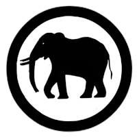 Elephant Chess