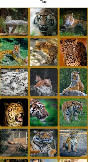 Cool animal wallpapers Screenshot 1