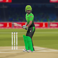 Pakistan Cricket League Game