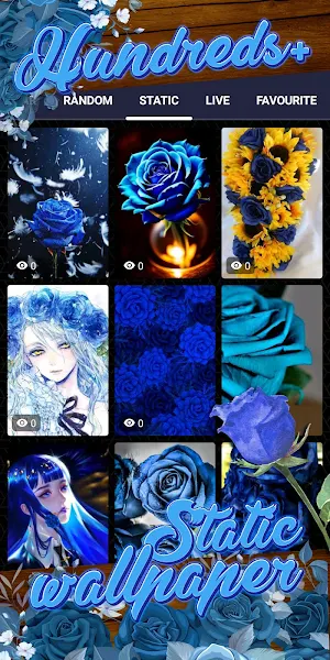blue rose wallpaper Screenshot 3