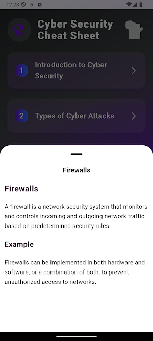 Cyber Security Basics Screenshot 3