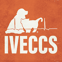 IVECCS 2021