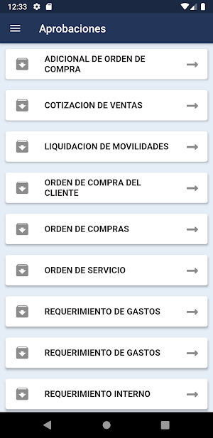 NisiraAprobaciones Screenshot 3