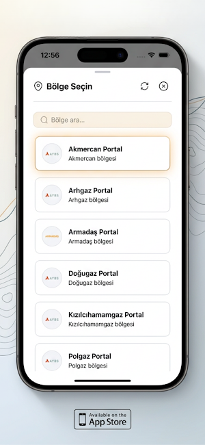 AYBS Portal Screenshot 1