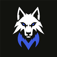 MetaWolf - Loup-Garou Local
