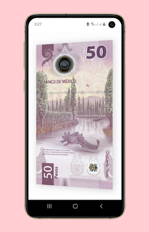 Billete de Ajolote Screenshot 0