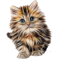 Cat breeds - Photos