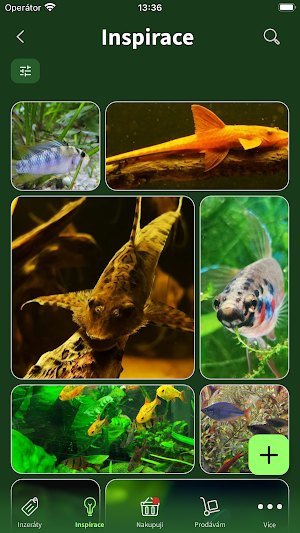 For Aquarist Screenshot 2