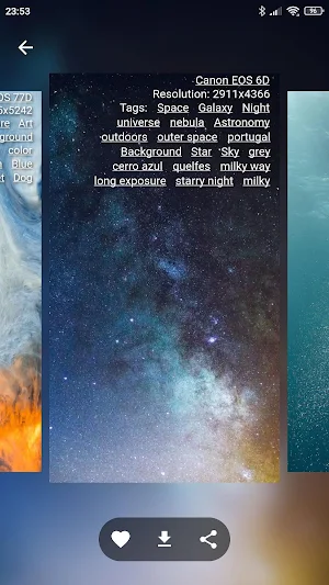 Wallbay - Live Wallpaper Maker, Video wallpaper Screenshot 3