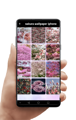 Cherry blossom wallpapers Screenshot 1