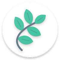 Alder