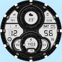 WFP 303 Hybrid watch face