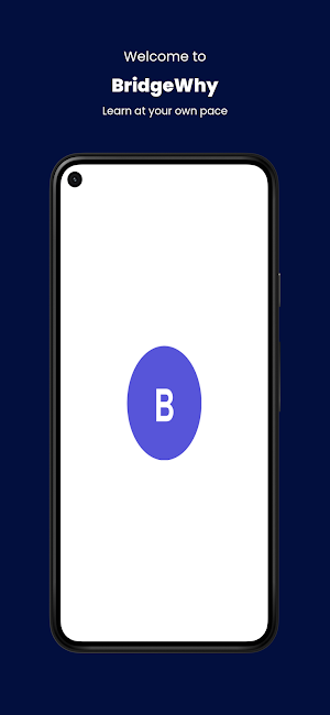 Bridgewhy Screenshot 0
