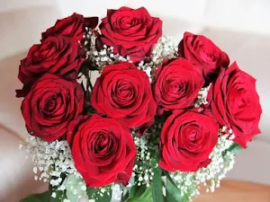 Flores y Rosas Rojas imágenes gratis Screenshot 3