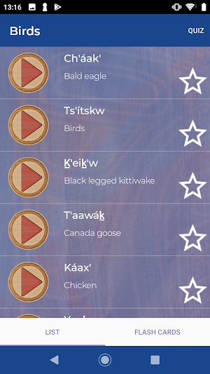 SHI: Learning Lingít Screenshot 1