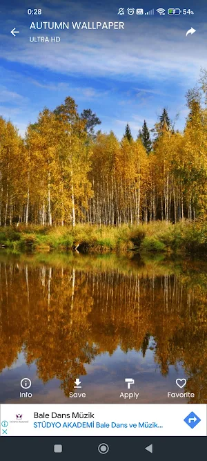 Autumn Wallpaper 4K Screenshot 2