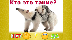 Животные для детей и малышей: обучающие карточки Screenshot 1