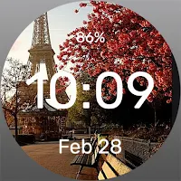Parisian bench - Watch Face