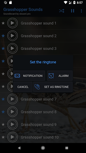 Grasshopper Sounds ~ Sboard.pro Screenshot 2