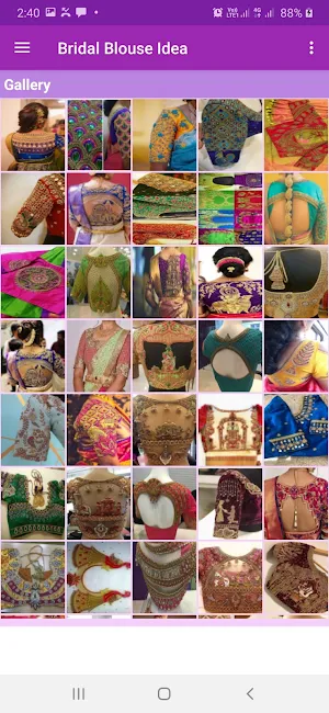 Bridal Blouse idea Gallery Screenshot 1