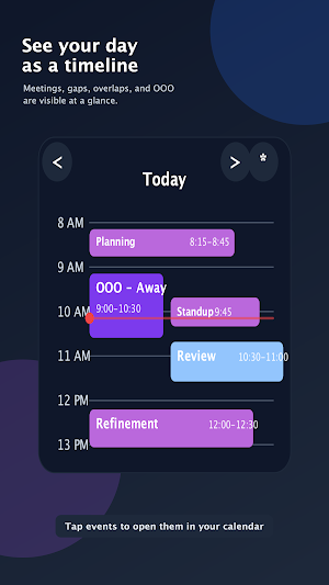 Daily Calendar Widget Screenshot 0