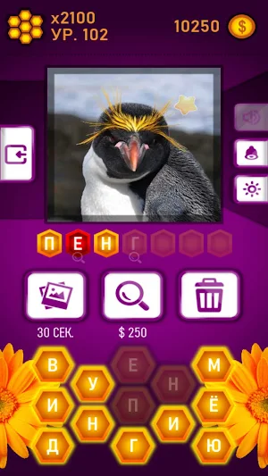 Guess the Word-Honey Riddles Screenshot 1