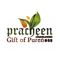 Pracheen Shop