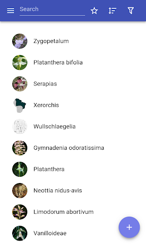 Orchids Screenshot 0