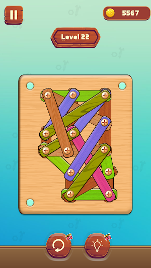 Nuts & Bolts: Screw Pin Puzzle Screenshot 3