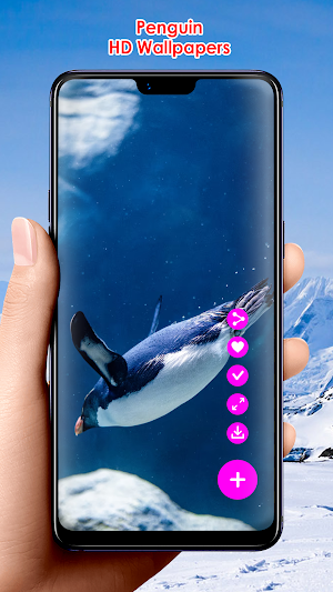Penguin HD Wallpapers Screenshot 1