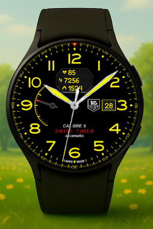 Hybrid Tag Watch Face Screenshot 3